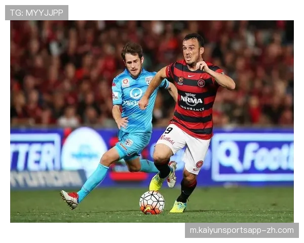 墨尔本城客战蔚山现代 卡维拉马尼伤情影响进攻火力